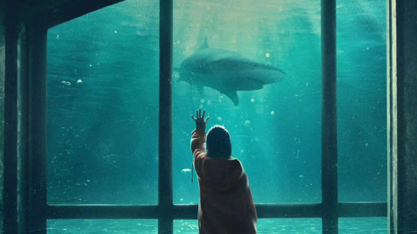 Al momento stai visualizzando Denti da squalo: un viaggio tra sentimenti e realtà